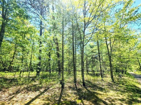 Lots 30-33 Madison Avenue, Grayling, MI 49738