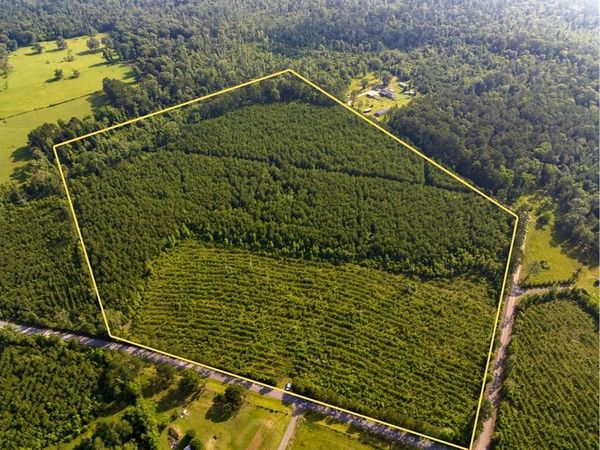 T-1 Ellis West Road, Pitkin, LA 70656