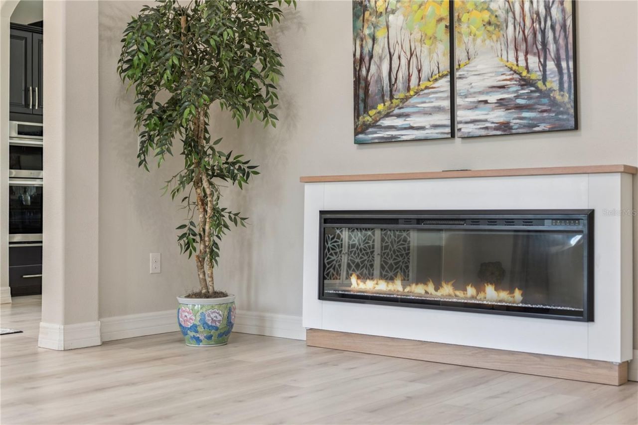 32628 View Haven Lane, Sorrento, FL 32776 Photo