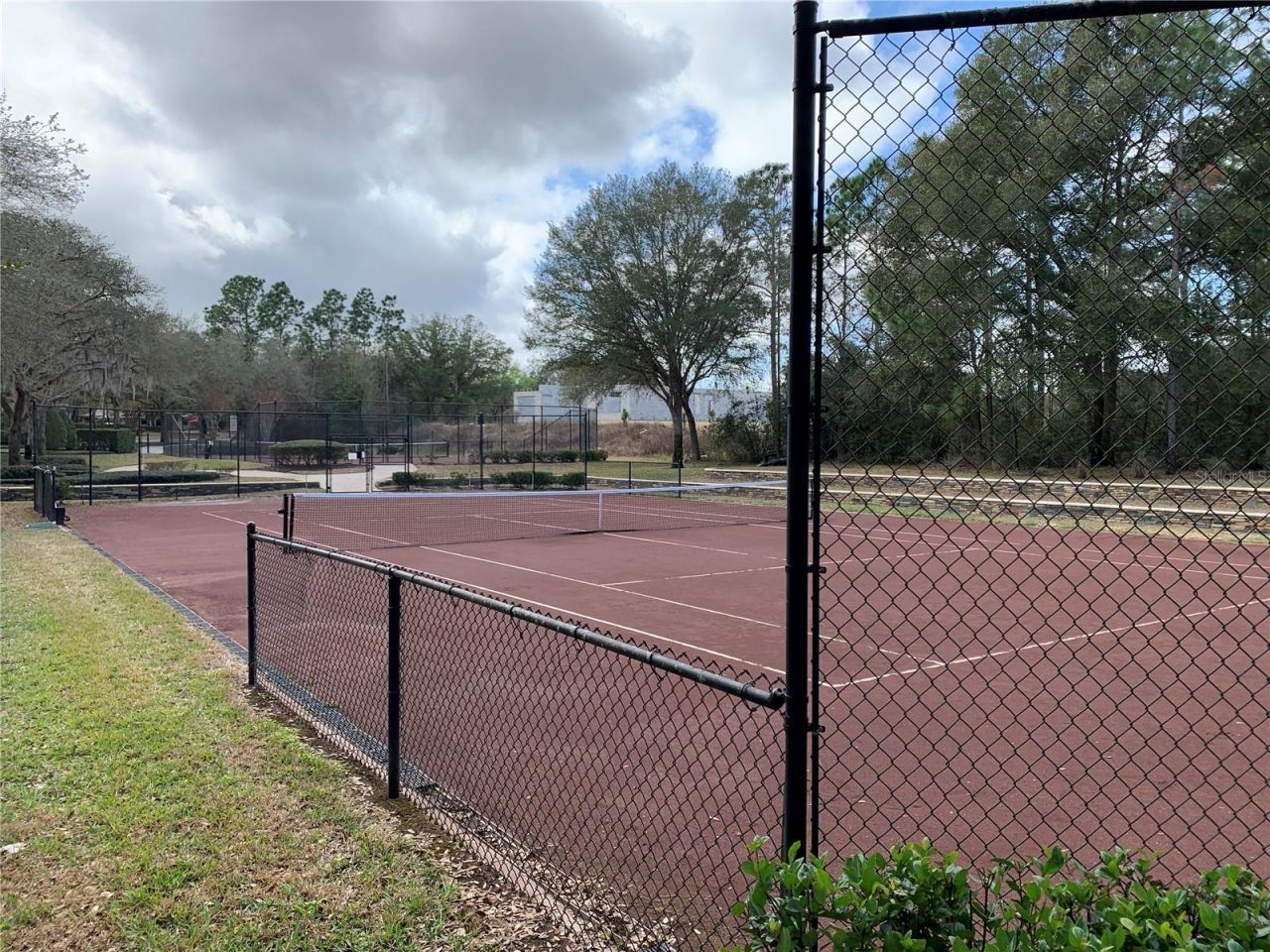 32628 View Haven Lane, Sorrento, FL 32776 Photo