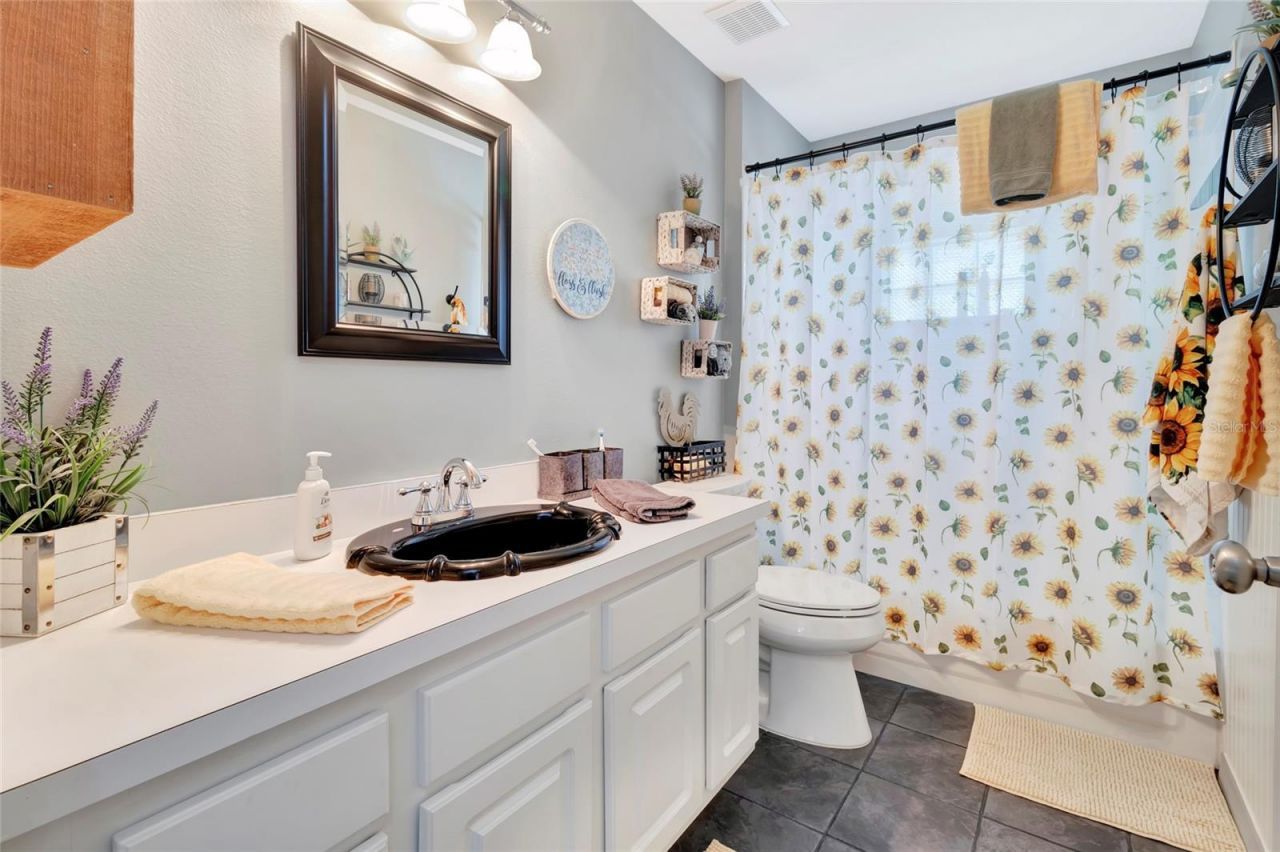 226 Pleasant Hill Drive, Clermont, FL 34711 Photo