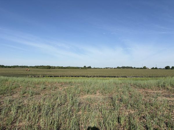 460 Ramey Road, Maple Lake, MN 55358