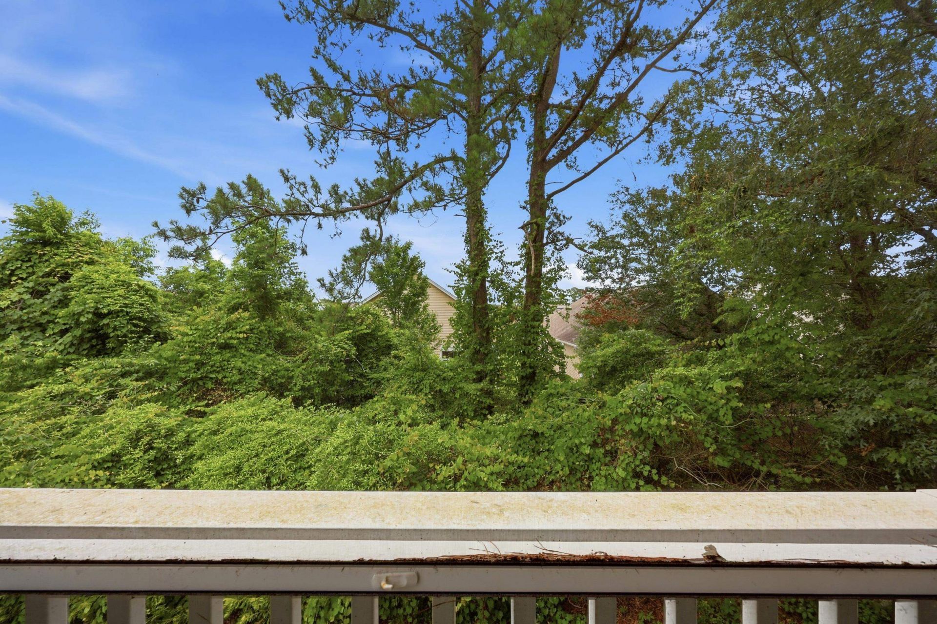 4185 Hibiscus Dr.  Photo 28
