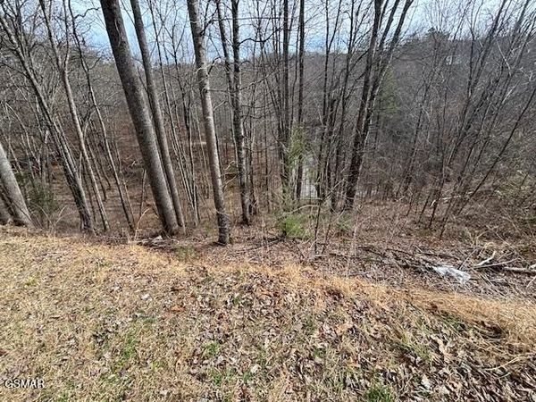 lots 444 a Sky View , Sevierville, TN 37876