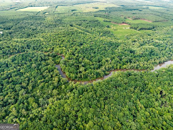 232 ACRES Old River Road N, Statesboro, GA 30461