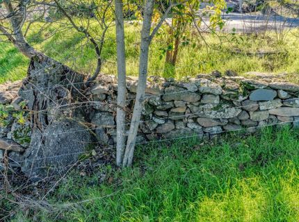 52-d David Dr, Sutter Creek, CA 95685 Photo