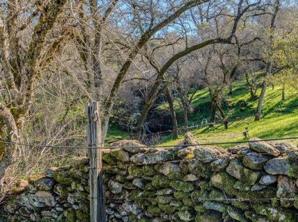 52-d David Dr, Sutter Creek, CA 95685 Photo