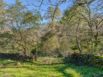 52-d David Dr, Sutter Creek, CA 95685 Photo