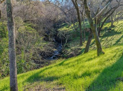 52-d David Dr, Sutter Creek, CA 95685 Photo