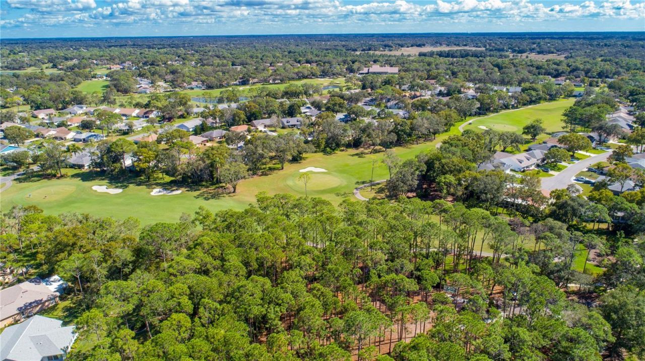 2139 Sea Pines Court , Spring Hill, FL 34606 Photo