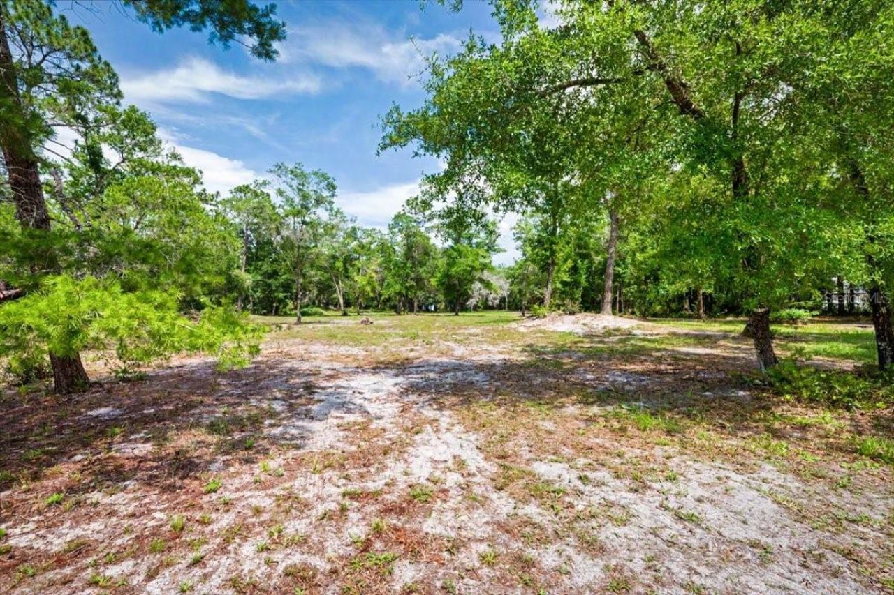 1812 Taylor Road, Port Orange, FL 32128 Photo