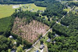Lot 4 Old Railroad Rd.  photo 4