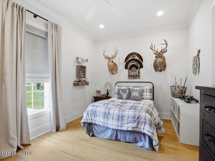 Property Image 43