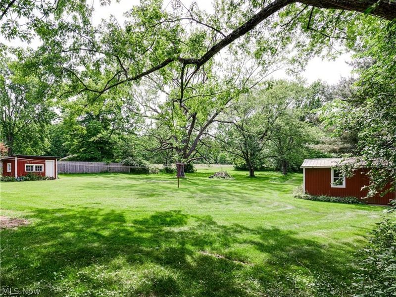 13459 Portage Street, Doylestown, OH 44230 Photo 23