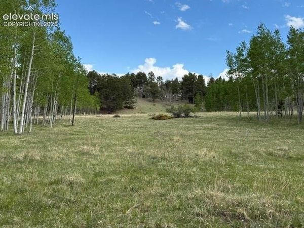 417 Aspen Way Drive, Florissant, CO 80816