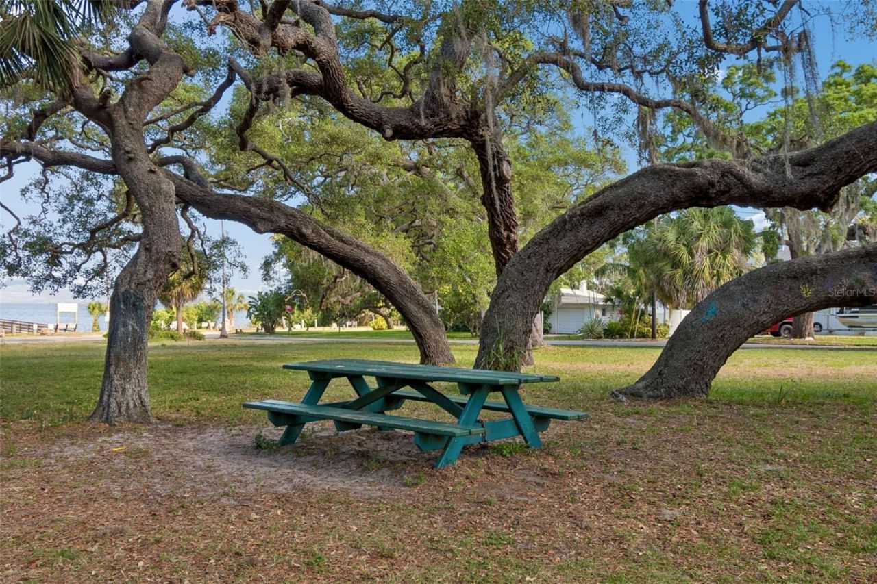 416 Tennessee Avenue, Crystal Beach, FL 34681 Photo