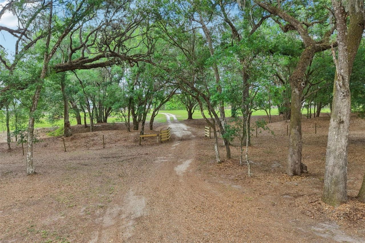 2685 Cr 564, Bushnell, FL 33513 Photo