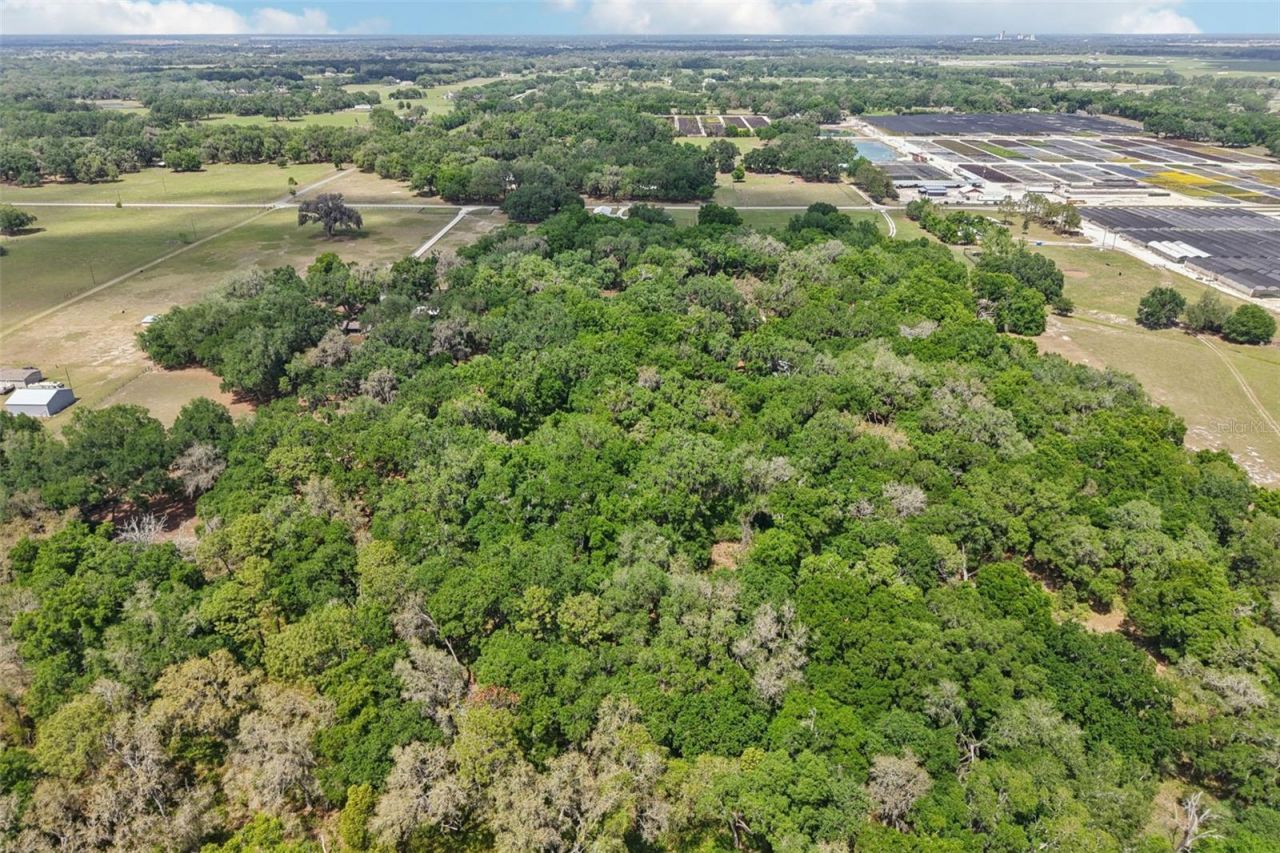 2685 Cr 564, Bushnell, FL 33513 Photo
