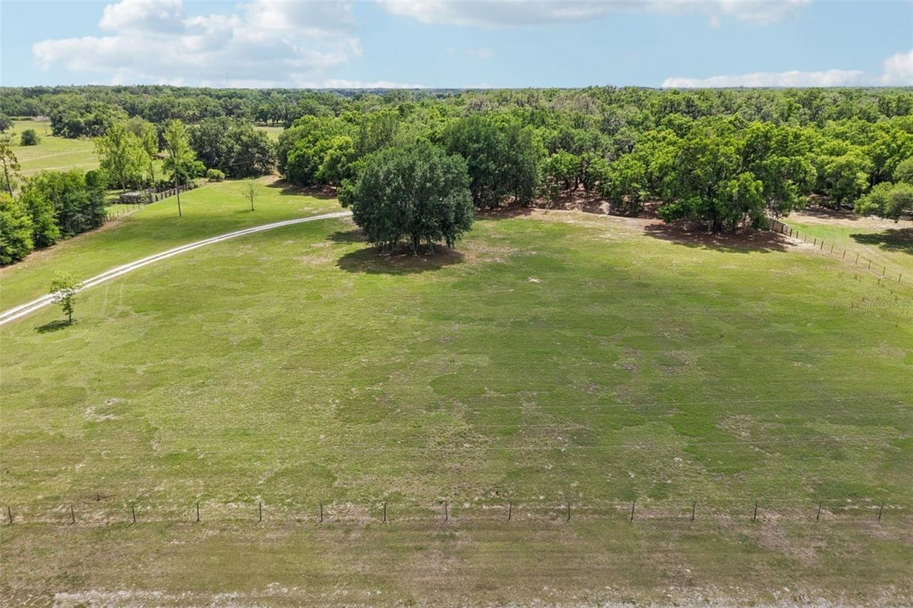2685 Cr 564, Bushnell, FL 33513 Photo