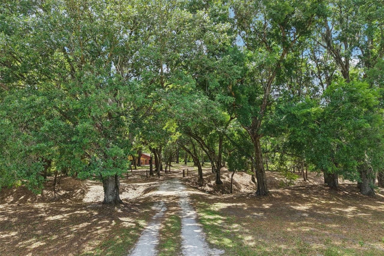 2685 Cr 564, Bushnell, FL 33513 Photo