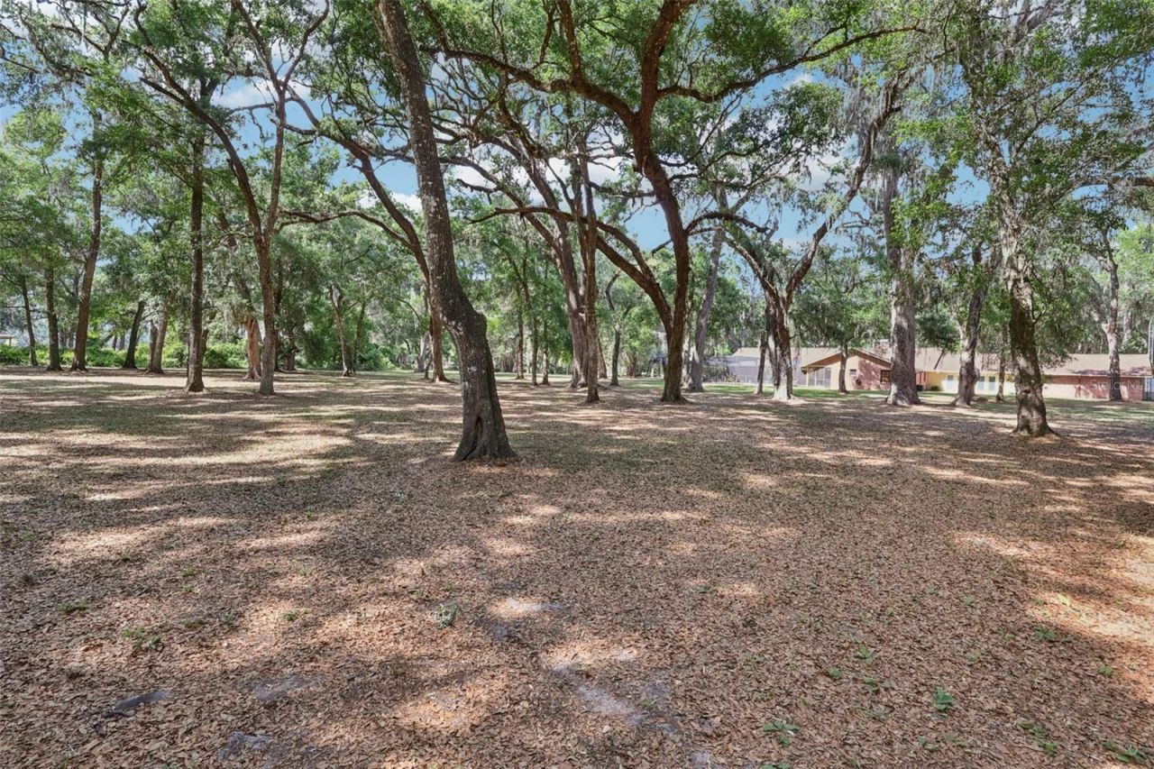 2685 Cr 564, Bushnell, FL 33513 Photo
