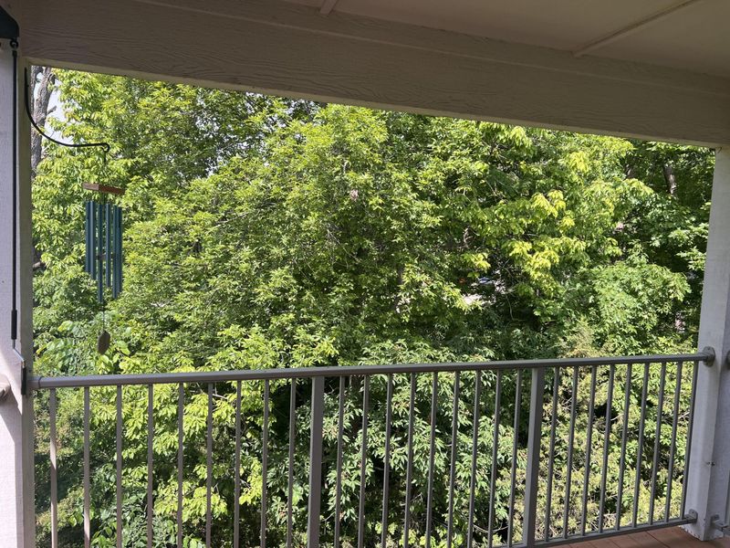 4041 Cider Mill Court, Burlington, KY 41005 Photo 34