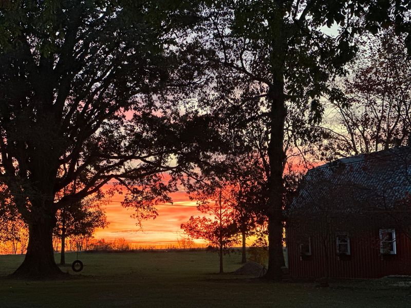10900 Scott Road, Sidney, OH 45365 Photo 54