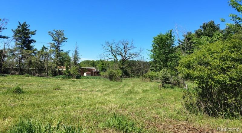 C Hemingway Lake Road , Otter Lake Vlg, MI 48464 Main Photo