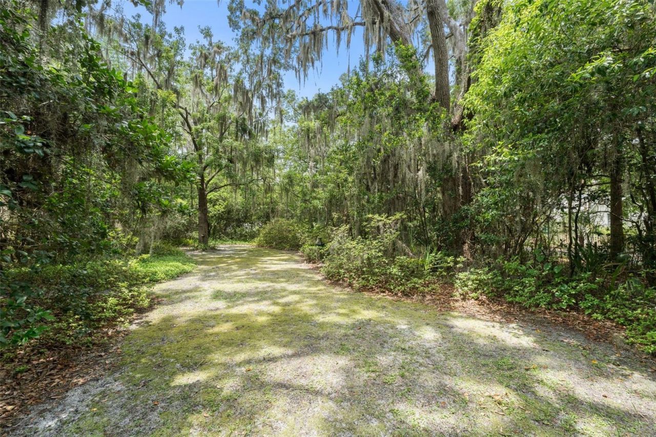 717 NE Boulevard, Gainesville, FL 32601 Photo