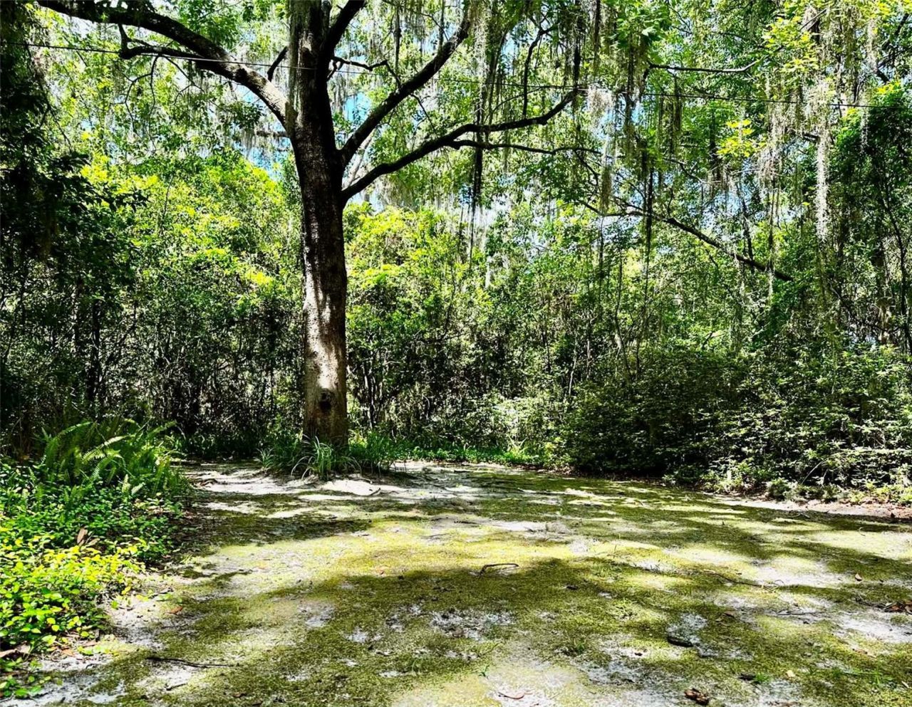 717 NE Boulevard, Gainesville, FL 32601 Photo