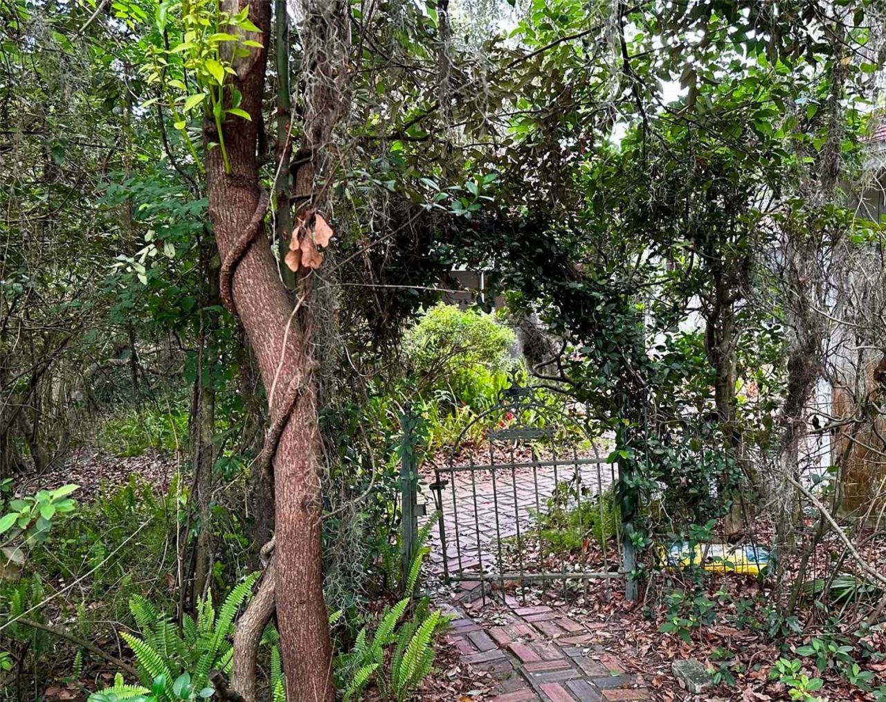 717 NE Boulevard, Gainesville, FL 32601 Photo