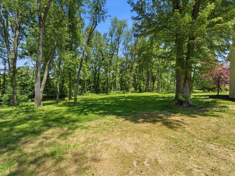 185 Bent Tree Road, Sunbury, OH 43074 Photo 118