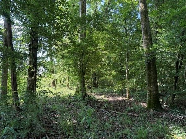 949 Ford Road , Homer, LA 71040