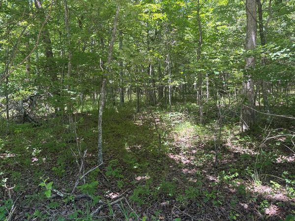Lot 251 Buck Circle, Spencer, TN 38585