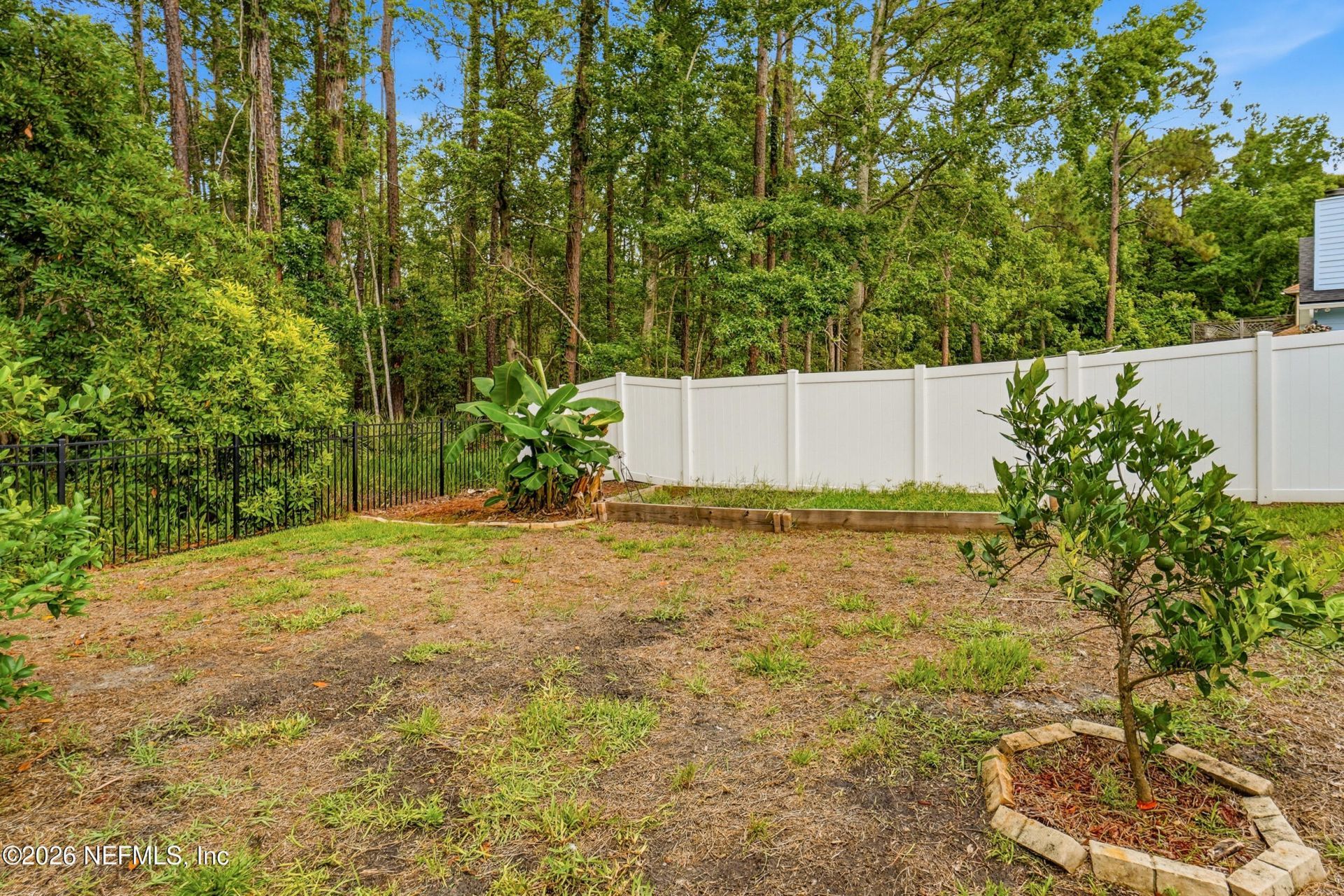 8088 Kilkelly Lane, Jacksonville, FL 32244 Photo