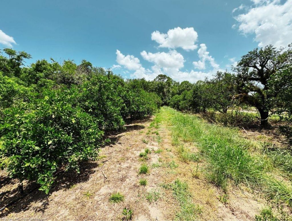 115 Heinley Road, Lake Placid, FL 33852 Photo