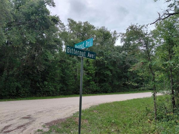 PEANUT DRIVE , WEBSTER, FL 33597