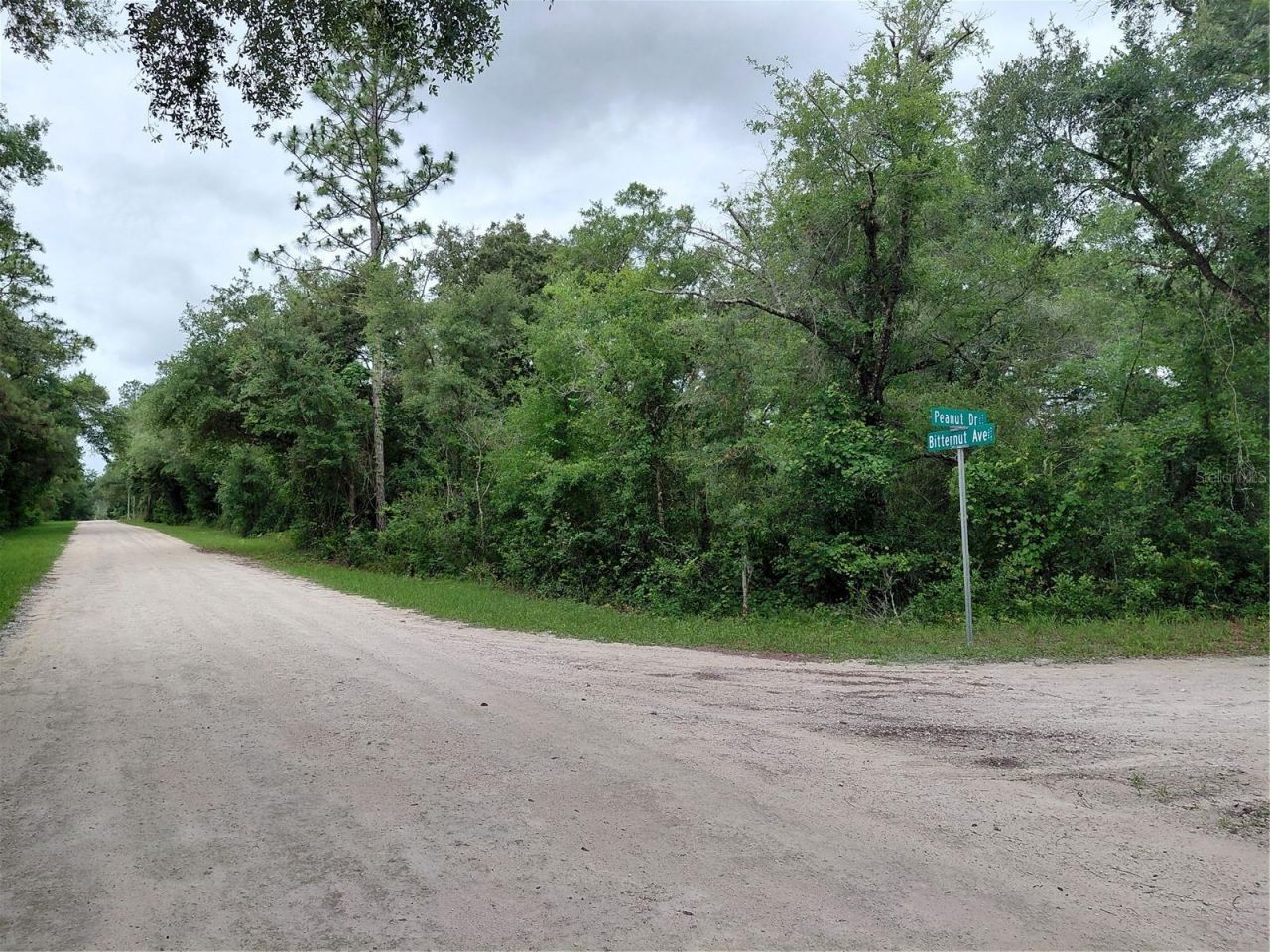 Peanut Drive, Webster, FL 33597 Photo