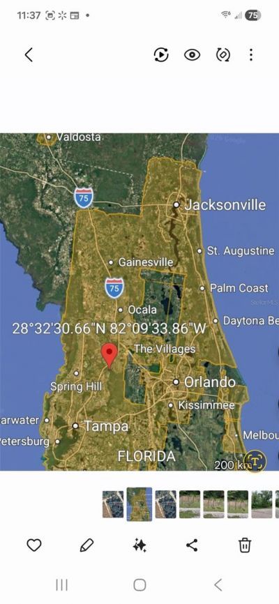 Peanut Drive, Webster, FL 33597 Photo