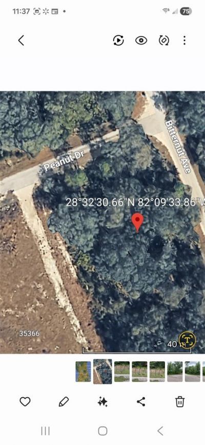 Peanut Drive, Webster, FL 33597 Photo