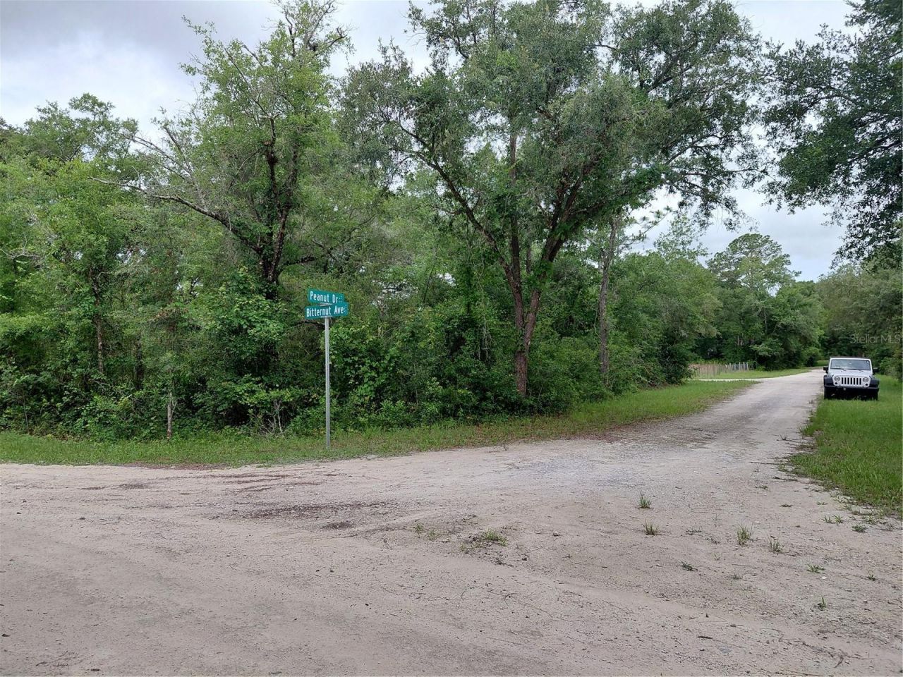 Peanut Drive, Webster, FL 33597 Photo
