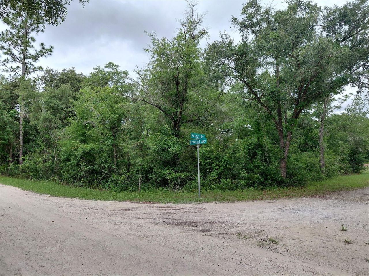 Peanut Drive, Webster, FL 33597 Photo