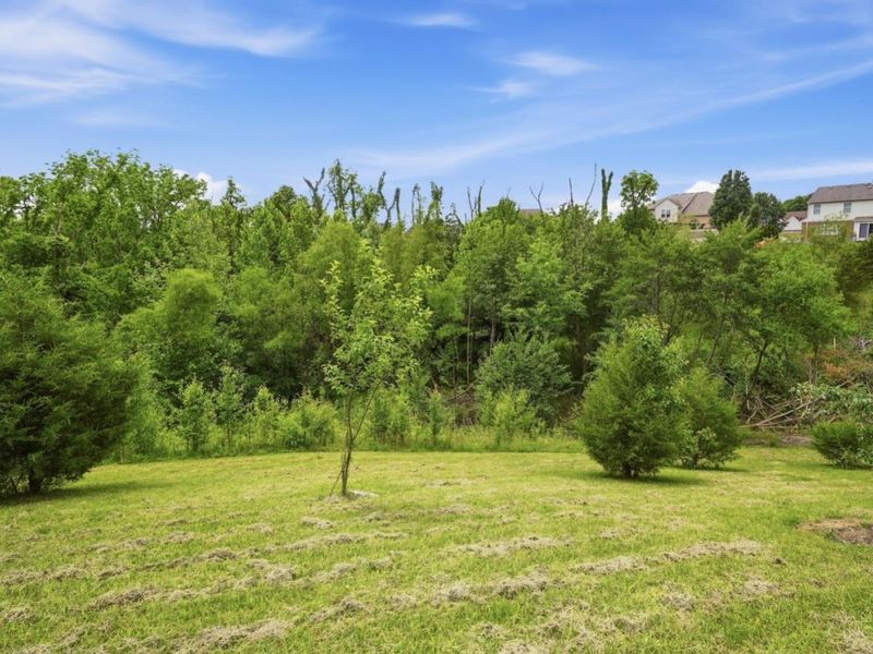 10705 Carolina Pines Drive, Harrison, OH 45030 Photo 81