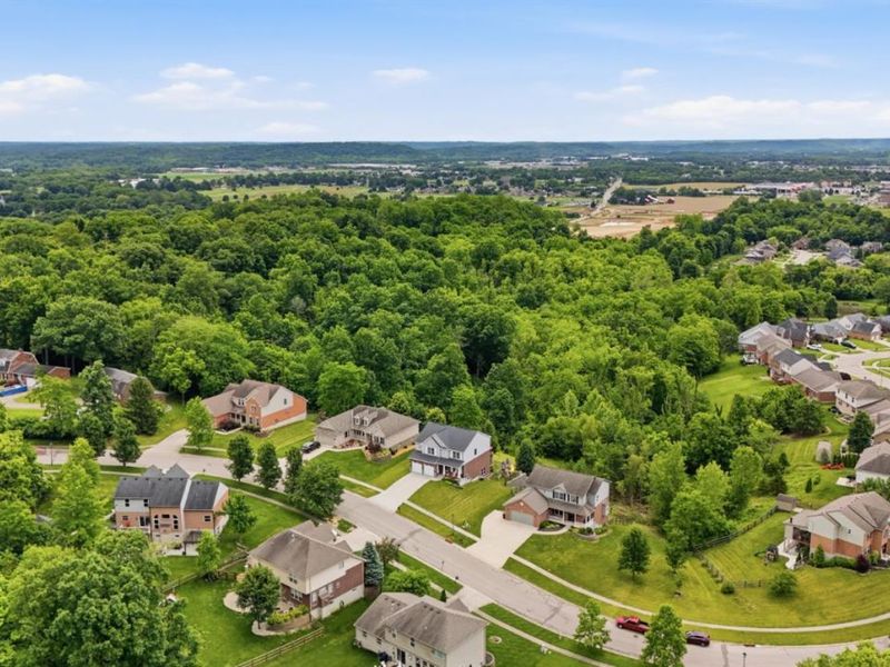 10705 Carolina Pines Drive, Harrison, OH 45030 Photo 84