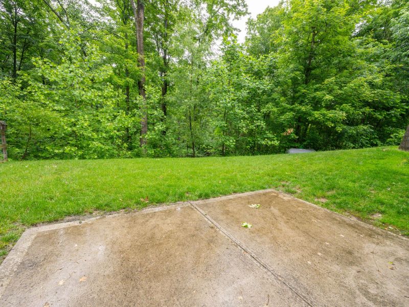 2655 Longbranch Road, Union, KY 41091 Photo 39