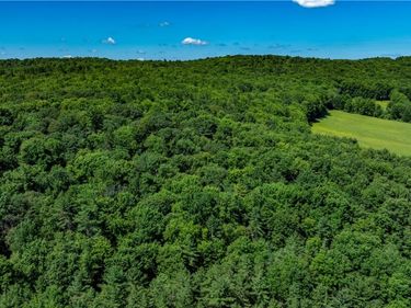 Lower Ravine Road , Norwich, NY 13815