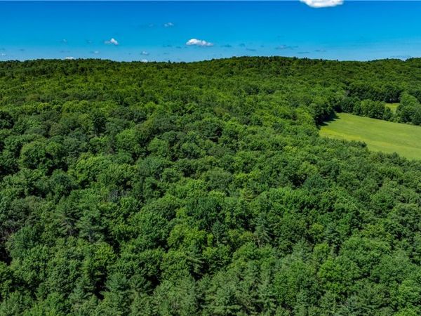 Lower Ravine Road , Norwich, NY 13815