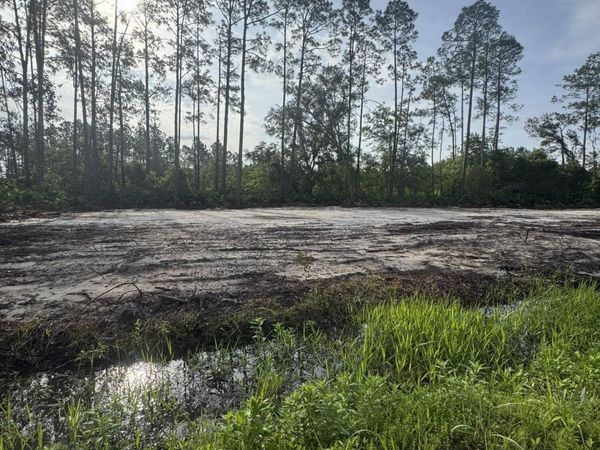 194 SAN CRISTOBAL Avenue, East Palatka, FL 32131