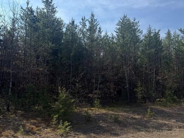 Lot 30 RED TAIL HAWK DRIVE, Stevens Point, WI 54482