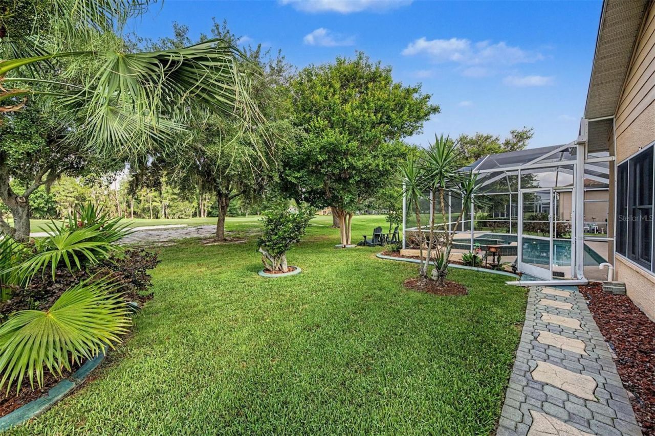 1331 Trimaran Place, Trinity, FL 34655 Photo